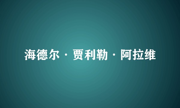 海德尔·贾利勒·阿拉维