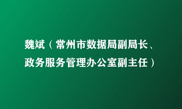 魏斌（常州市数据局副局长、政务服务管理办公室副主任）