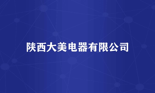 陕西大美电器有限公司