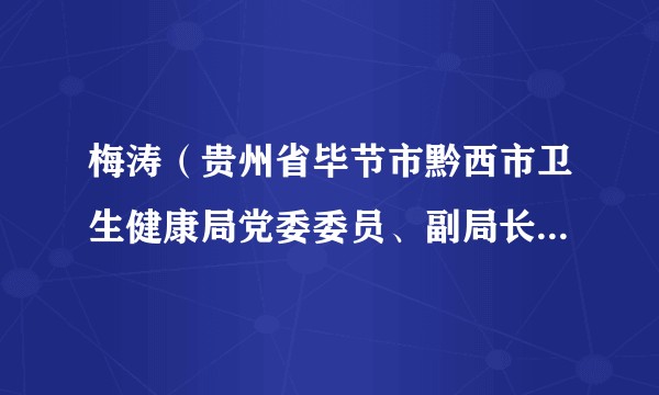 梅涛（贵州省毕节市黔西市卫生健康局党委委员、副局长、市疾控中心主任）