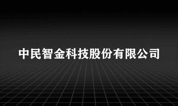 中民智金科技股份有限公司