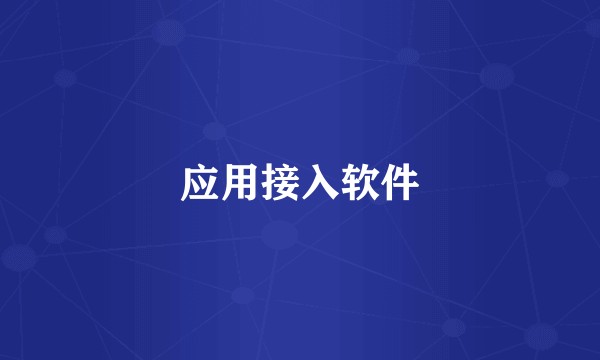 应用接入软件