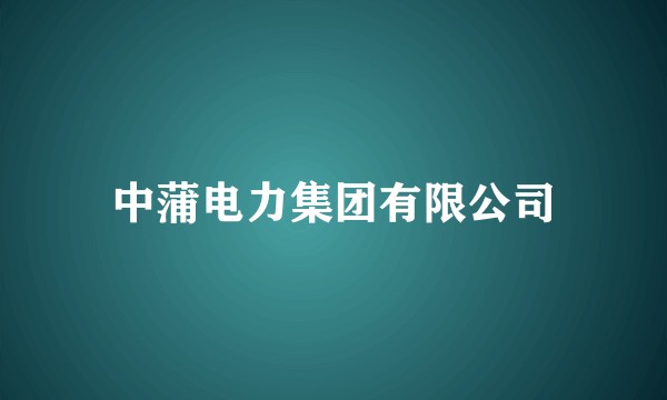 中蒲电力集团有限公司