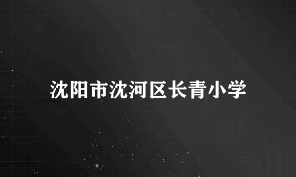 沈阳市沈河区长青小学