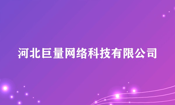 河北巨量网络科技有限公司