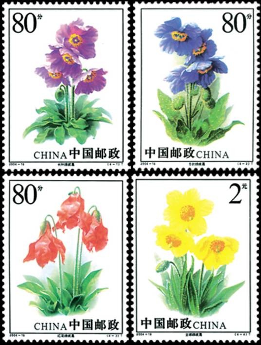 绿绒蒿(中国2004年发行邮票)