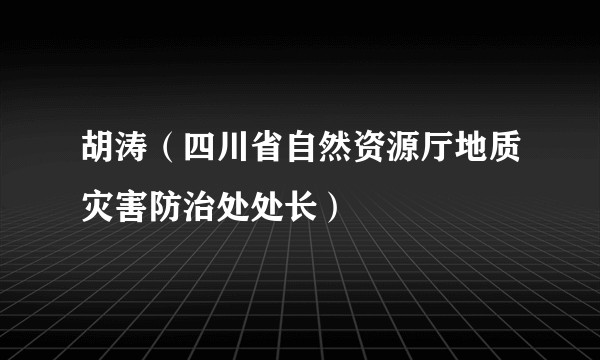 胡涛(四川省自然资源厅地质灾害防治处处长)