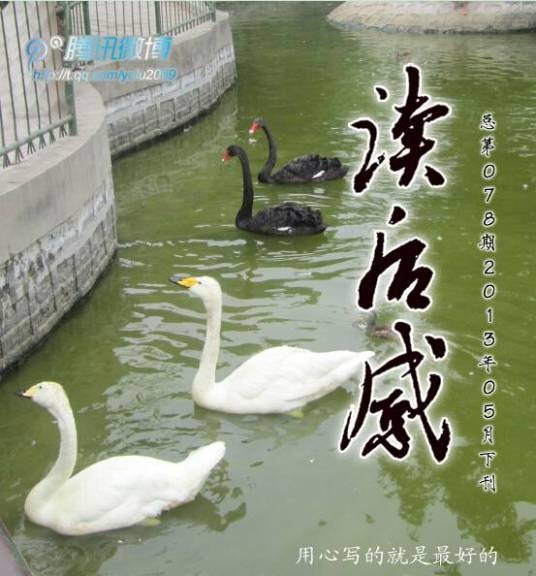 读后感（电子半月刊杂志）