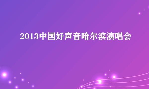 2013中国好声音哈尔滨演唱会