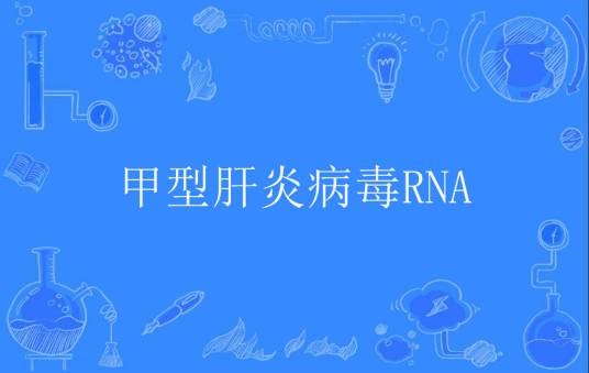 甲型肝炎病毒RNA