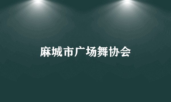 麻城市广场舞协会