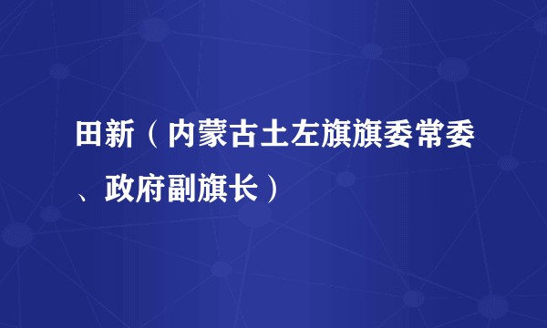 田新（内蒙古土左旗旗委常委、政府副旗长）