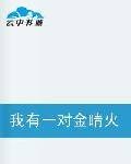 我有一对金睛火眼