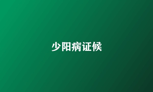 少阳病证候