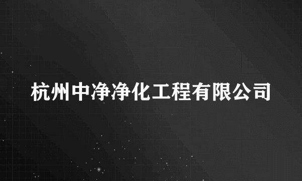 杭州中净净化工程有限公司