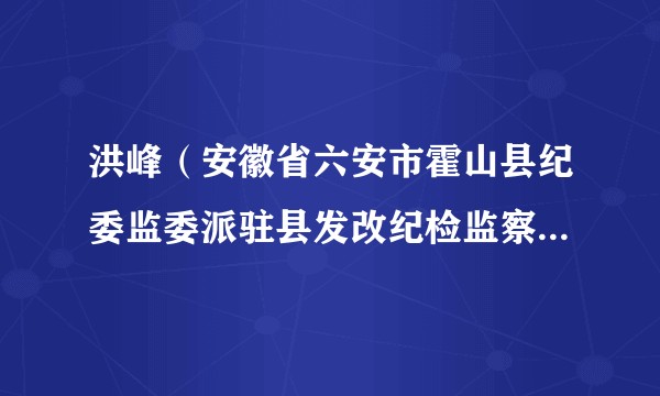 洪峰（安徽省六安市霍山县纪委监委派驻县发改纪检监察组组长）