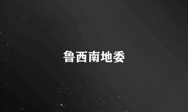鲁西南地委