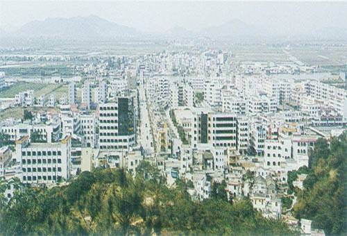 板芙社区