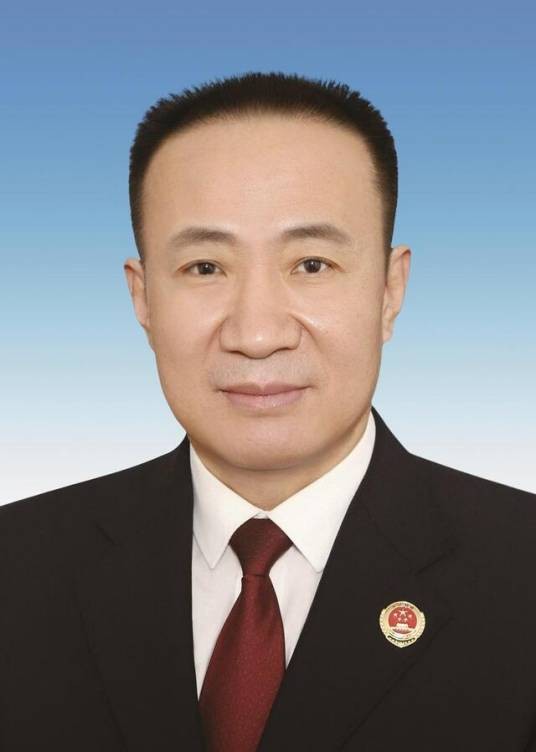 邢伟(河北省检察院检察委员会专职委员)