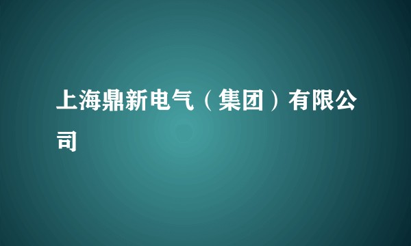 上海鼎新电气（集团）有限公司