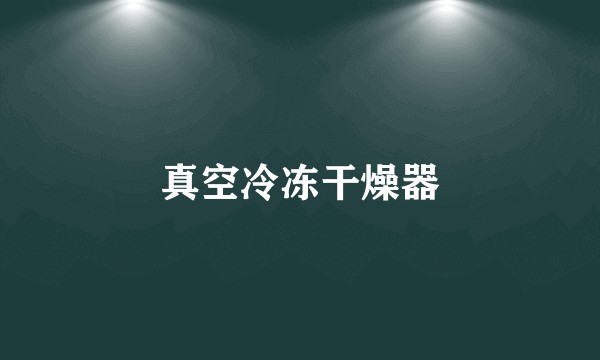 真空冷冻干燥器
