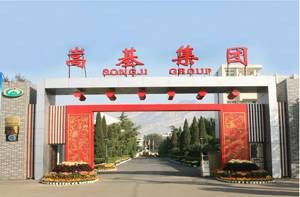 嵩基集团