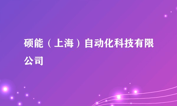 硕能（上海）自动化科技有限公司