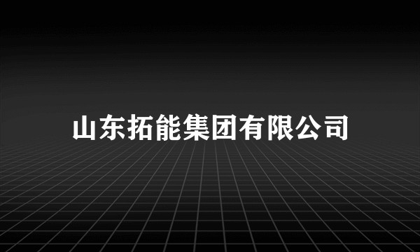 山东拓能集团有限公司