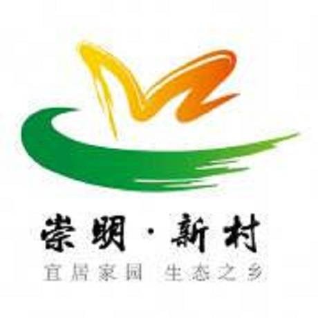 新村乡(上海市崇明区下辖乡)