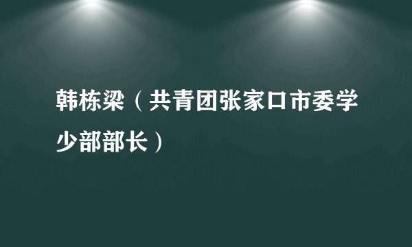 韩栋梁（共青团张家口市委学少部部长）
