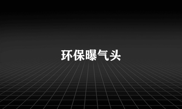 环保曝气头