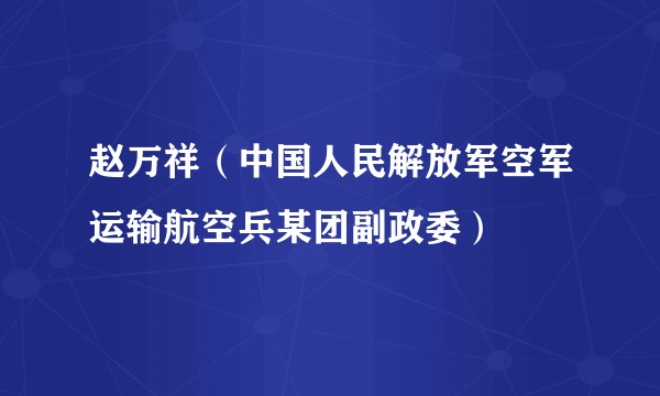 赵万祥（中国人民解放军空军运输航空兵某团副政委）