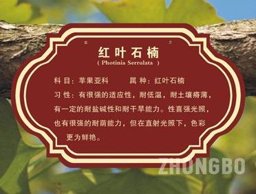 树铭牌