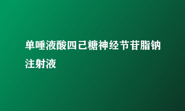 单唾液酸四己糖神经节苷脂钠注射液