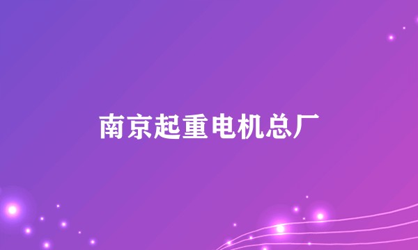南京起重电机总厂