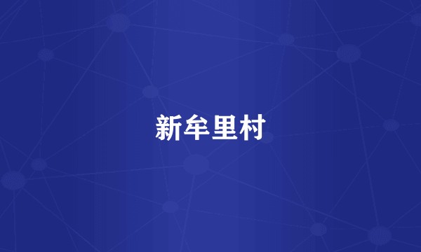 新牟里村