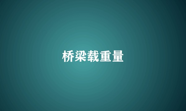 桥梁载重量