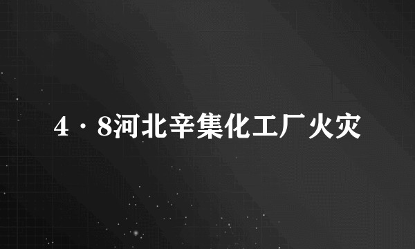 4·8河北辛集化工厂火灾