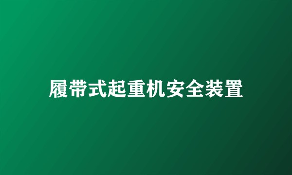 履带式起重机安全装置