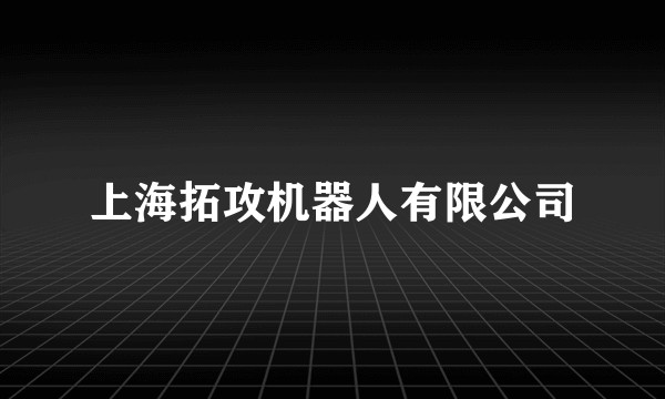 上海拓攻机器人有限公司