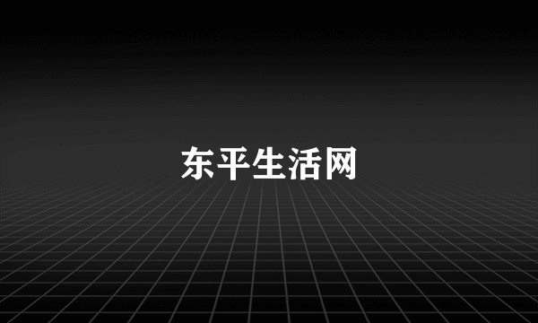 东平生活网
