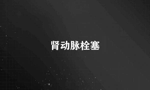 肾动脉栓塞