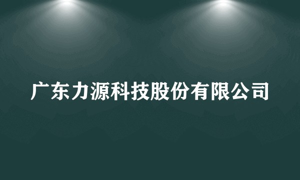 广东力源科技股份有限公司