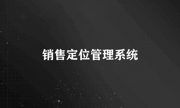 销售定位管理系统