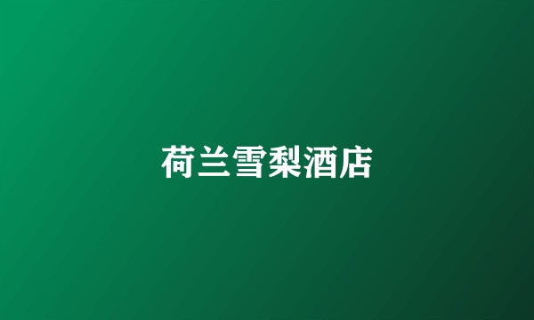 荷兰雪梨酒店