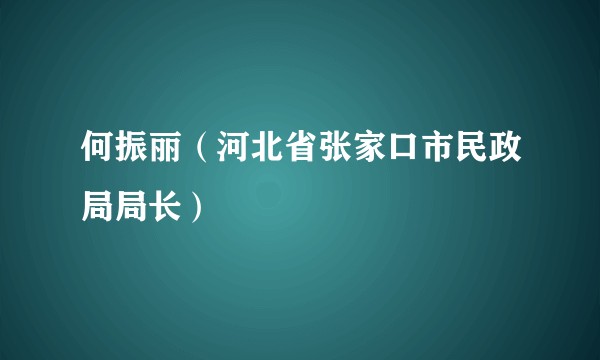 何振丽（河北省张家口市民政局局长）
