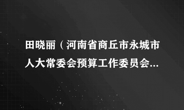 田晓丽（河南省商丘市永城市人大常委会预算工作委员会副主任）