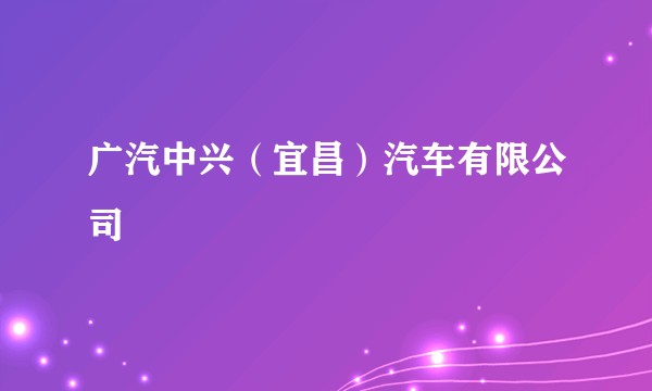 广汽中兴（宜昌）汽车有限公司