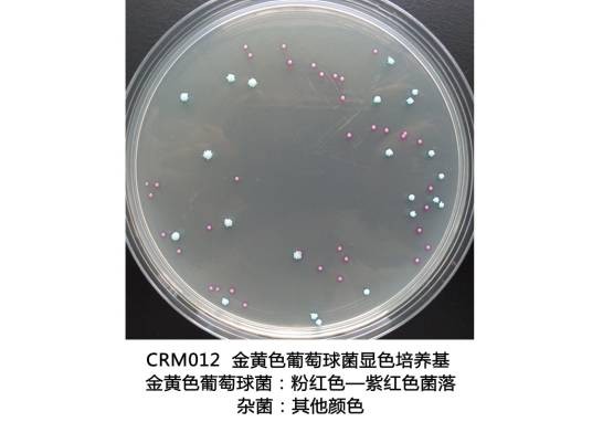 金黄色葡萄球菌显色培养基