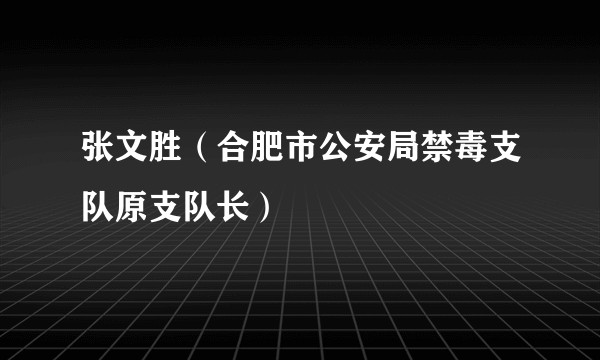 张文胜（合肥市公安局禁毒支队原支队长）